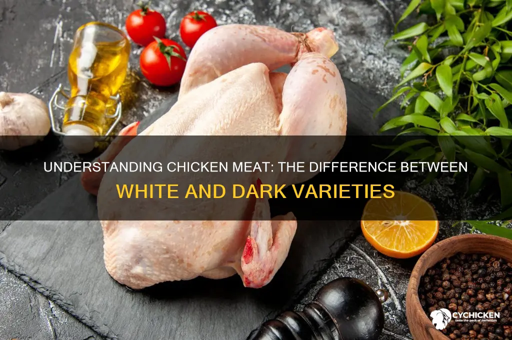 does chicken have white and dark meat