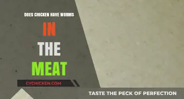 Does Chicken Meat Contain Worms? Facts and Myths Debunked
