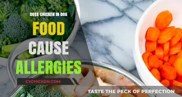 Can Chicken in Dog Food Trigger Allergies? Facts and Myths