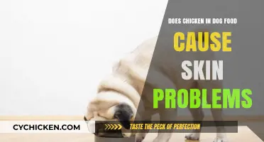 Chicken in Dog Food: Uncovering Its Link to Skin Issues