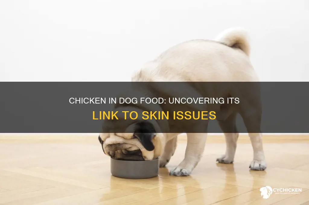 does chicken in dog food cause skin problems