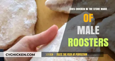 Chicken Mystery: Are Store-Bought Birds All Male Roosters?