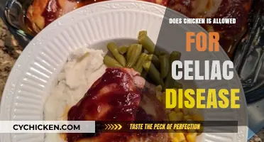 Can Celiacs Eat Chicken? Gluten-Free Diet and Poultry Explained