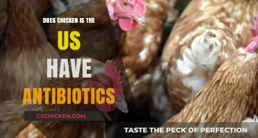 Antibiotics in US Chicken: What You Need to Know