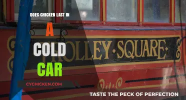 Can Chicken Stay Fresh in a Cold Car? Storage Tips Revealed