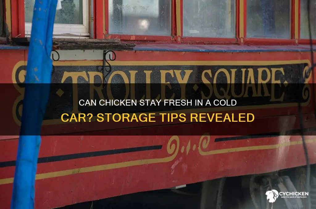 does chicken last in a cold car