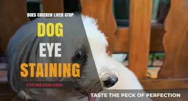 Can Chicken Liver Prevent Dog Eye Staining? Facts and Tips