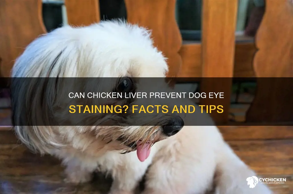 does chicken liver stop dog eye staining