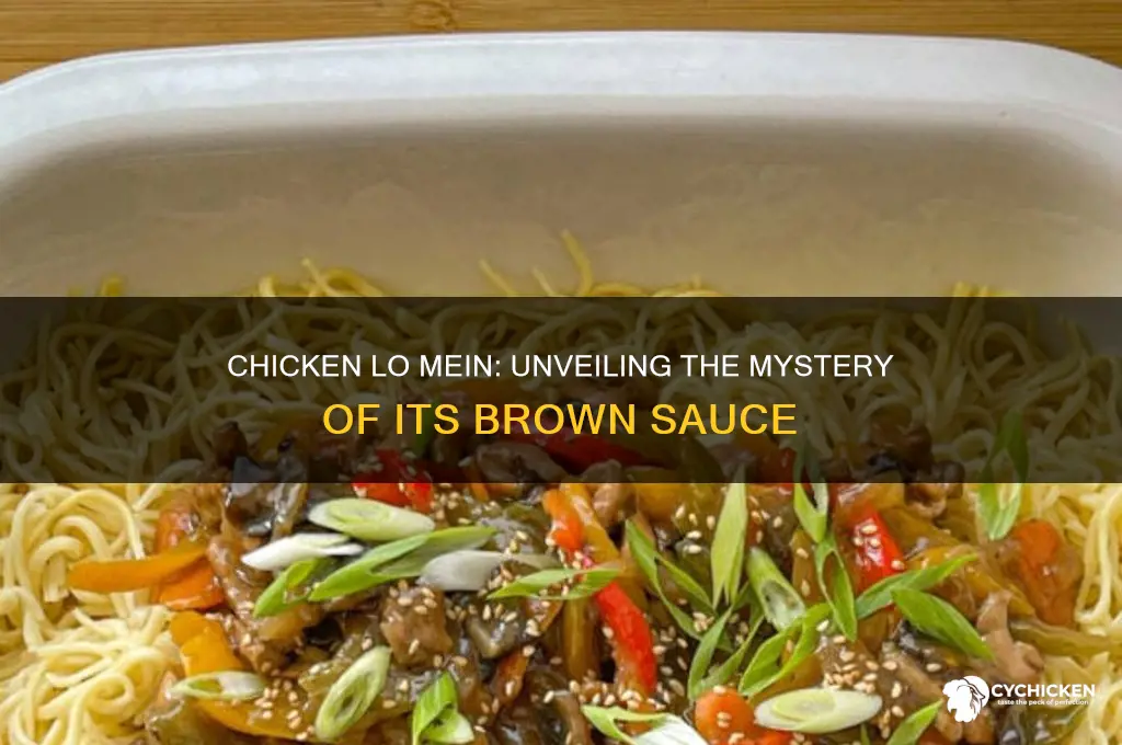 does chicken lo mein have brown sauce