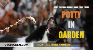 Chicken Manure: A Natural Cat Repellent for Your Garden