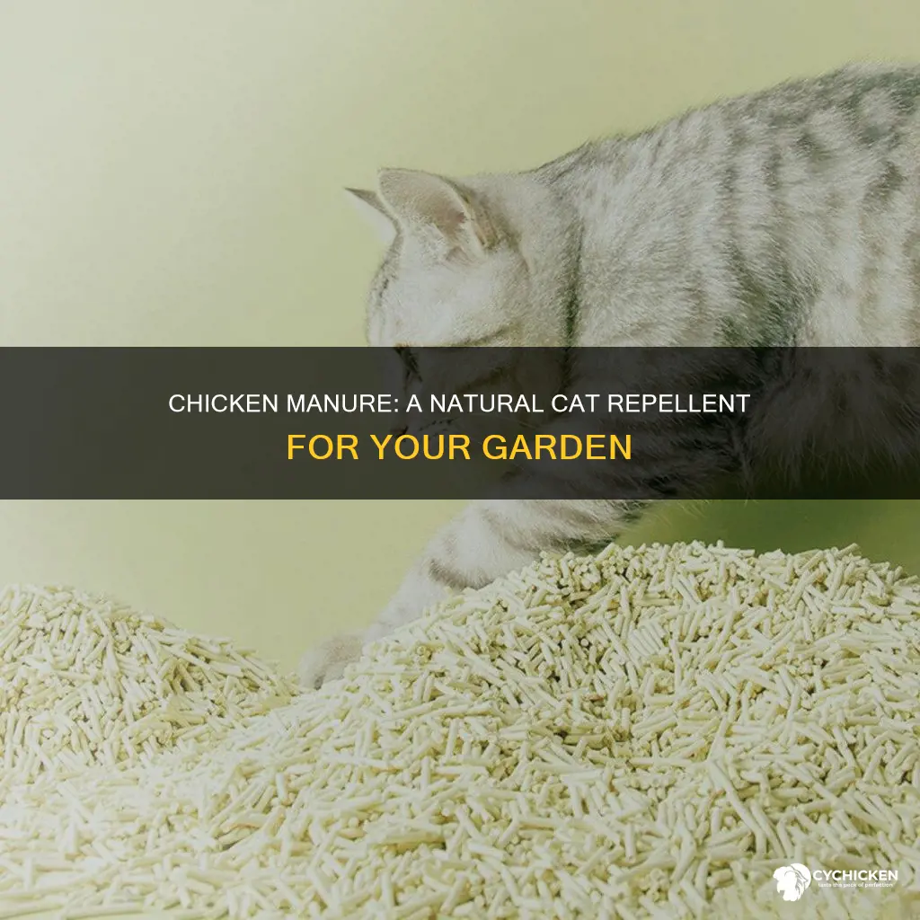 does chicken manue keep cats from potty in garden