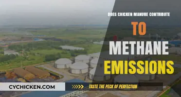 Chicken Manure and Methane: Uncovering Its Role in Emissions