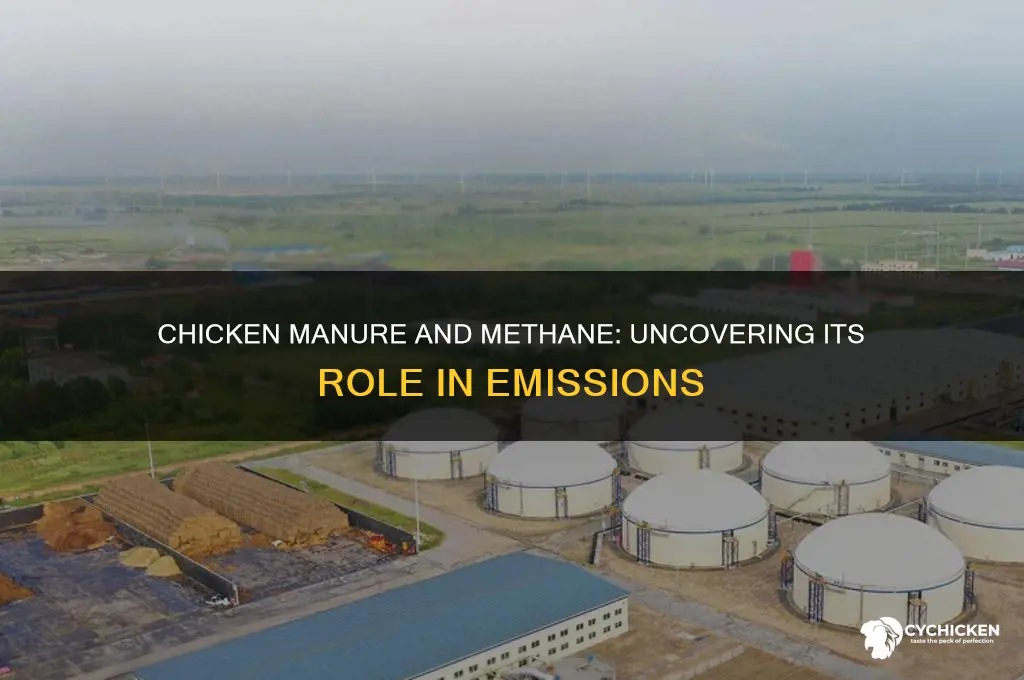 does chicken manure contribute to methane emissions