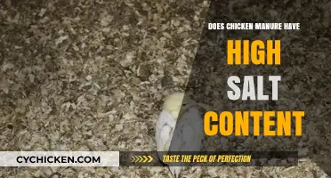 Is Chicken Manure High in Salt? Uncovering the Truth for Gardeners