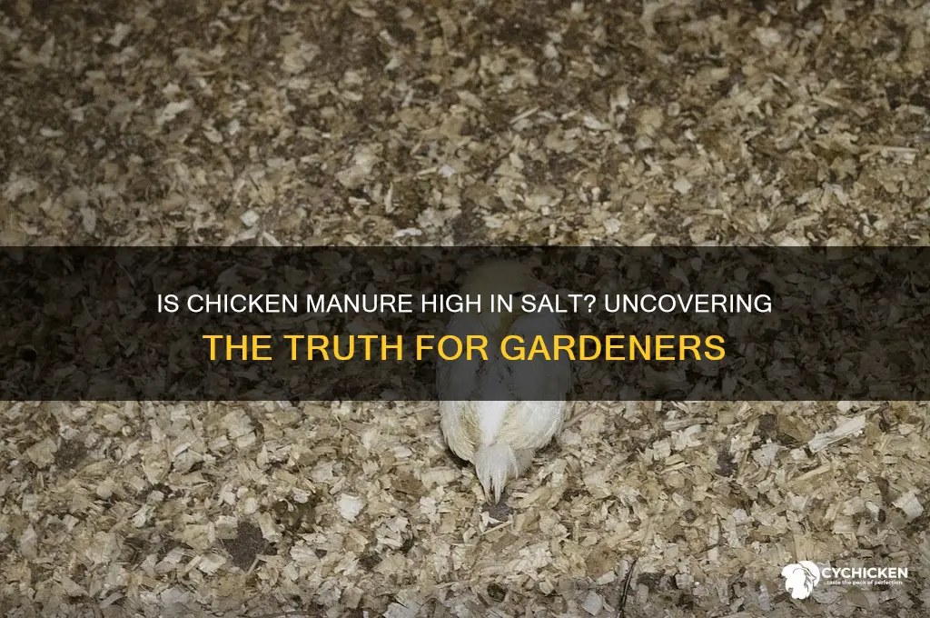 does chicken manure have high salt content