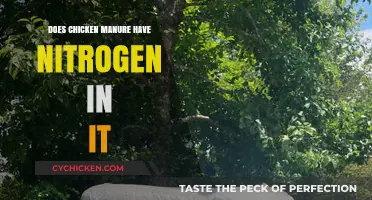Does Chicken Manure Contain Nitrogen? Benefits for Garden Soil