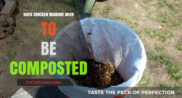 Should You Compost Chicken Manure? Essential Tips for Gardeners