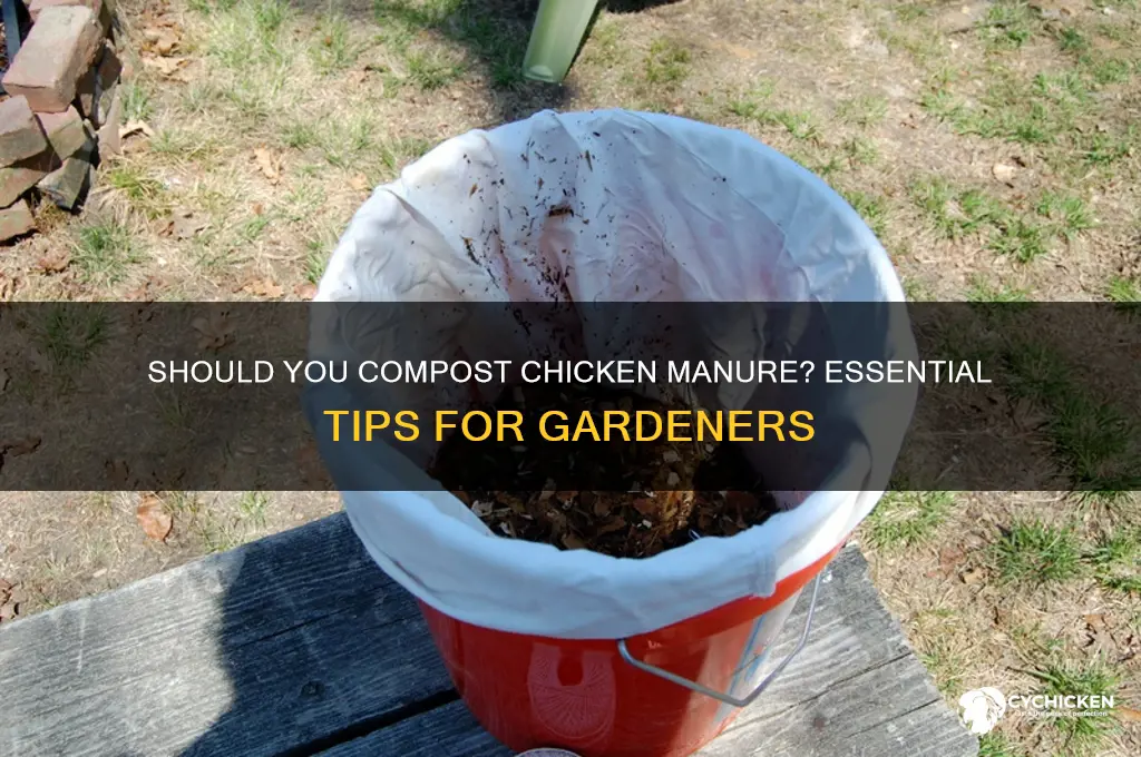 does chicken manure need to be composted