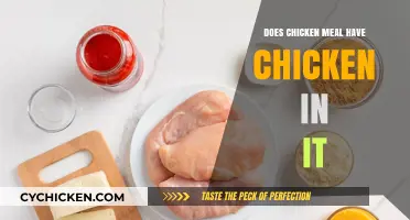 Does Chicken Meal Contain Real Chicken? Unraveling Pet Food Ingredients