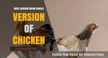 Does 'Chicken' Imply a Female Version? Unraveling the Poultry Puzzle
