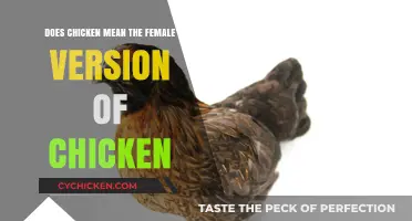 Does Chicken Refer to a Female? Unraveling the Poultry Gender Mystery
