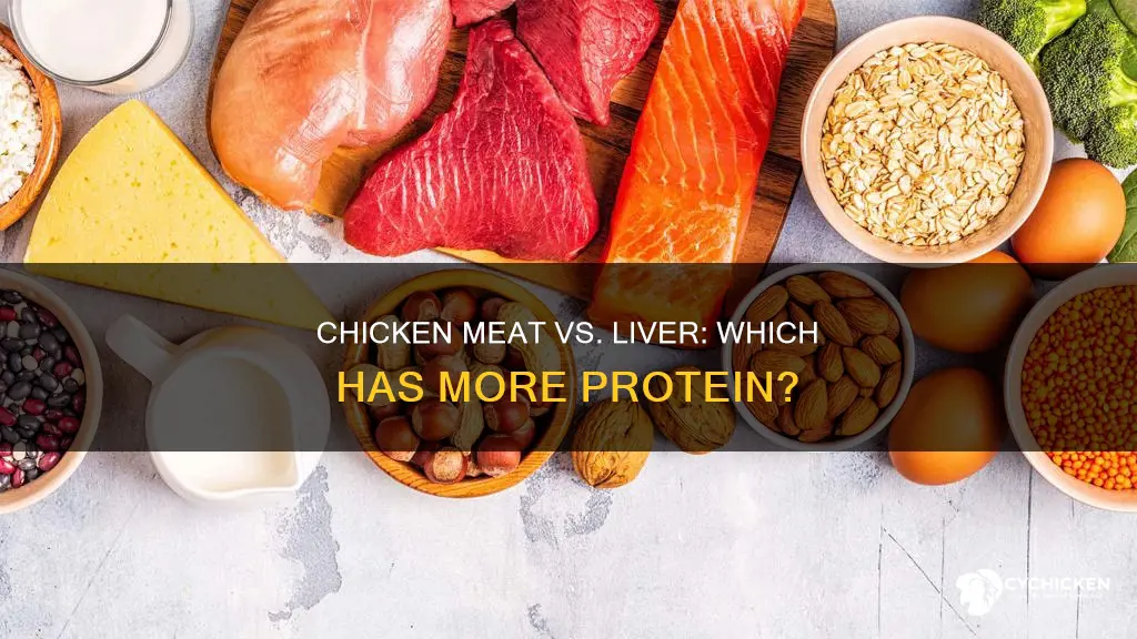 does chicken meat and chicken liver have same protein