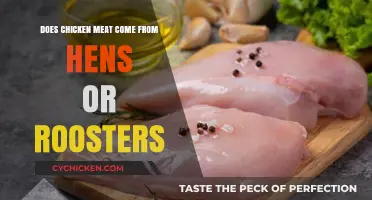 Hens vs. Roosters: Which One Provides the Chicken Meat We Eat?