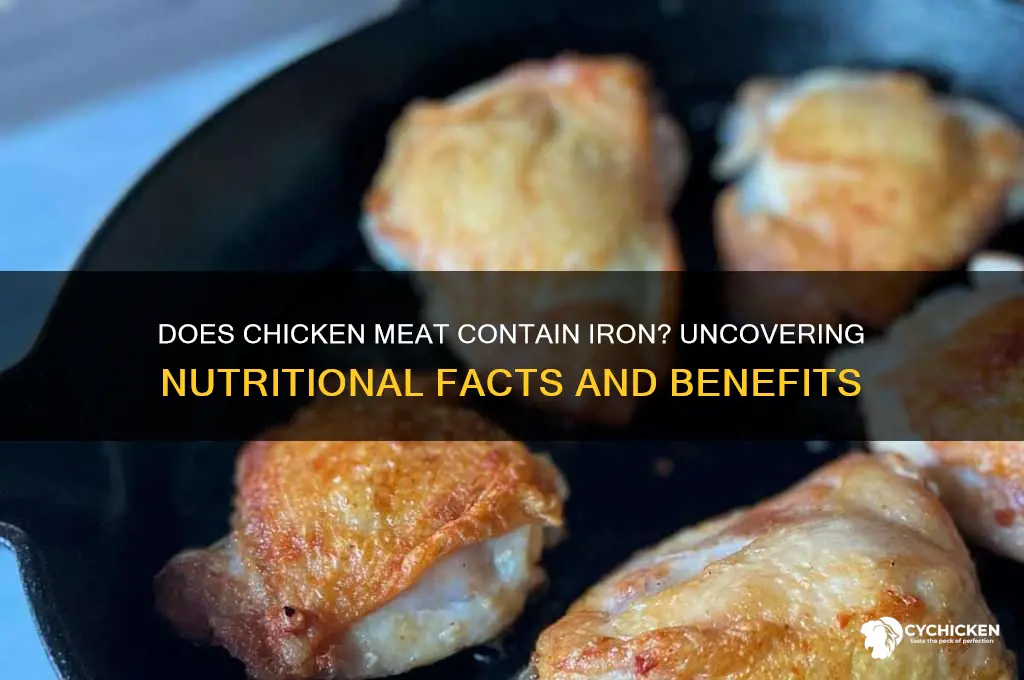 does chicken meat have iron in it