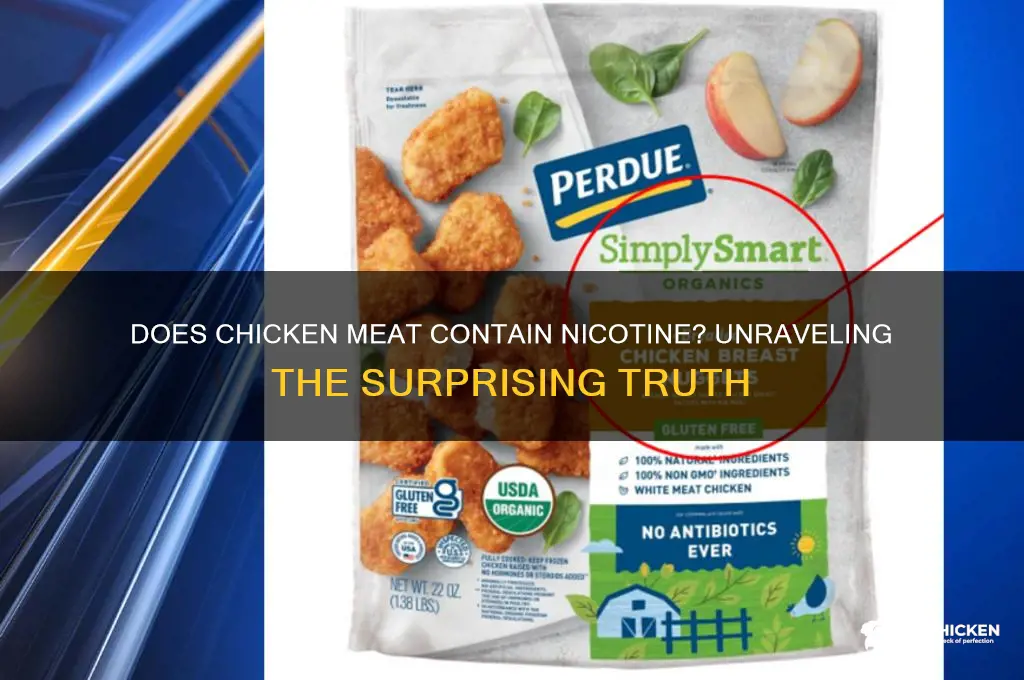 does chicken meat have nicotine in it