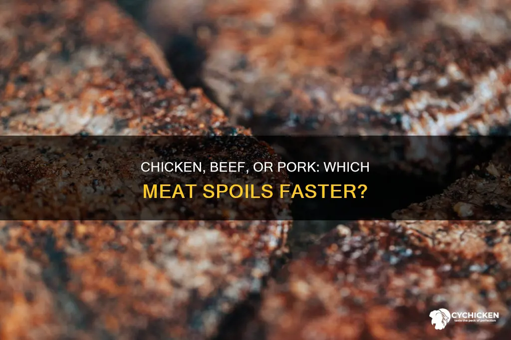 does chicken meat spoil faster than beef or pork