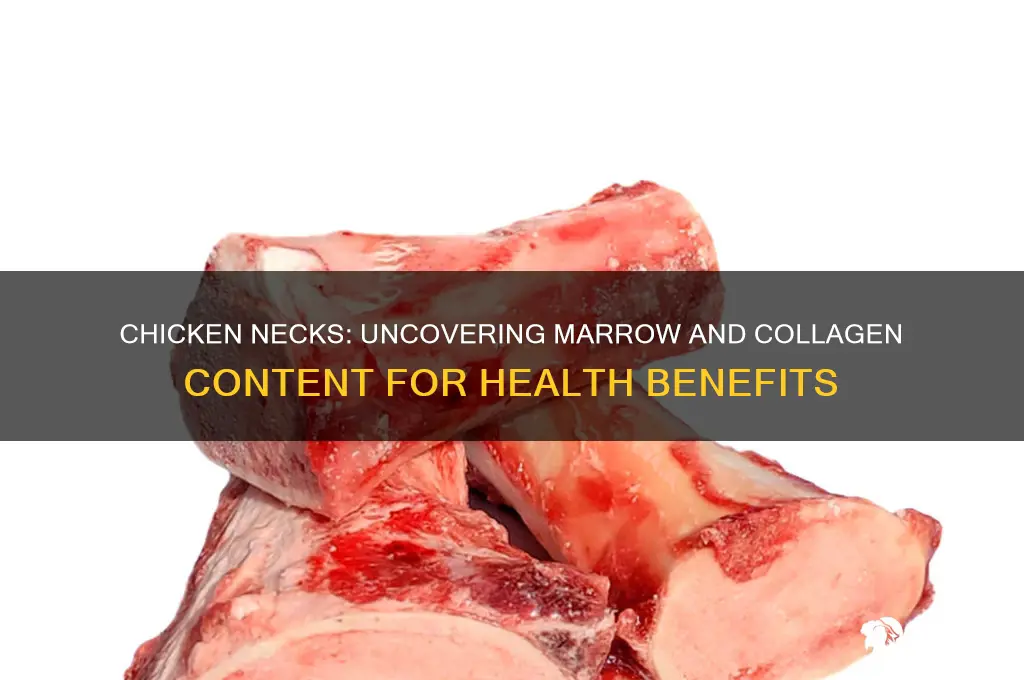 does chicken necks have marrow or collagen