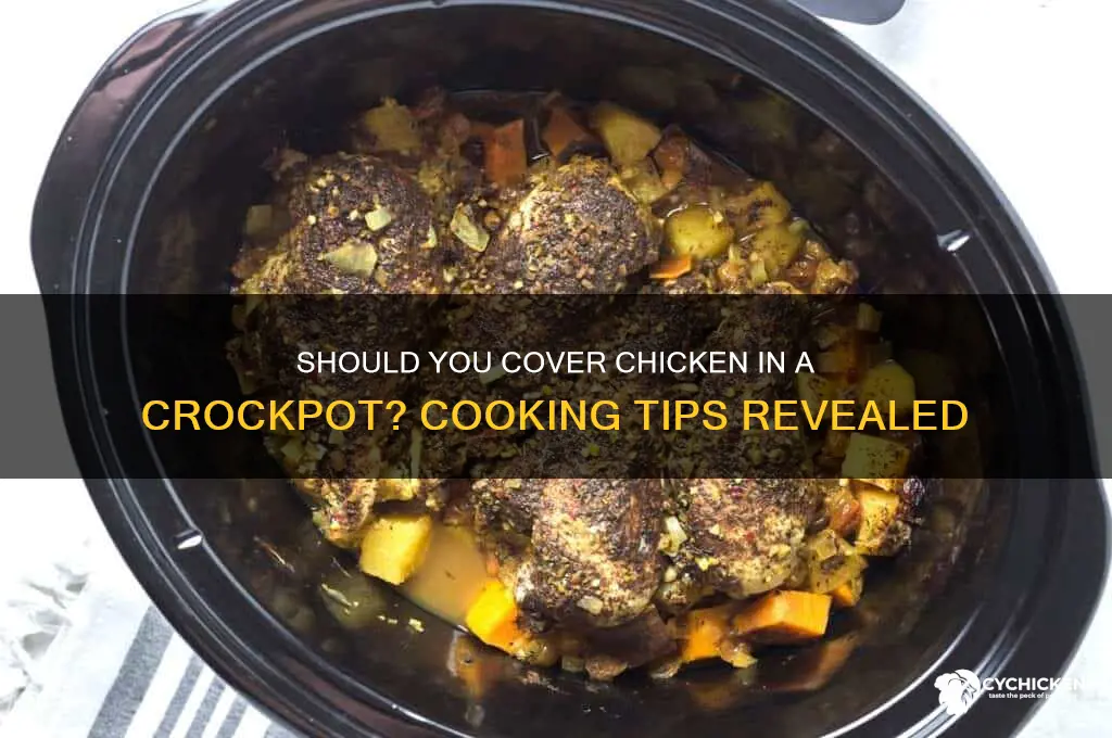 does chicken need to be covered in crockpot