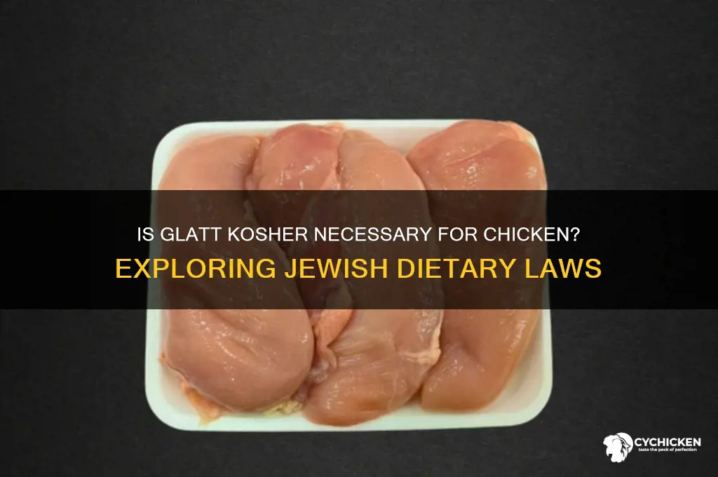 does chicken need to be glatt kosher