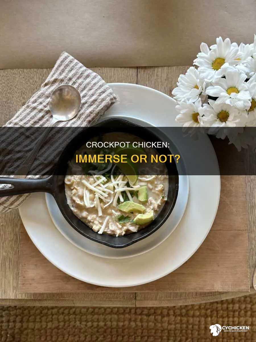 does chicken need to be immersed in liquid crockpot