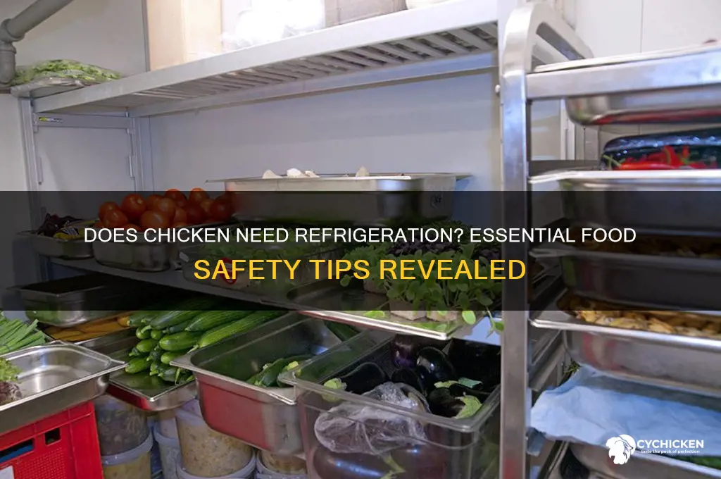 does chicken need to be kept refrigerated