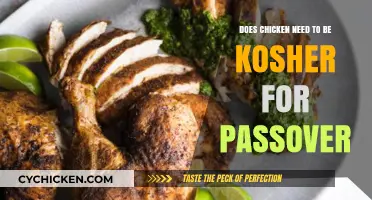 Is Chicken Kosher for Passover? Essential Guidelines for Observant Families