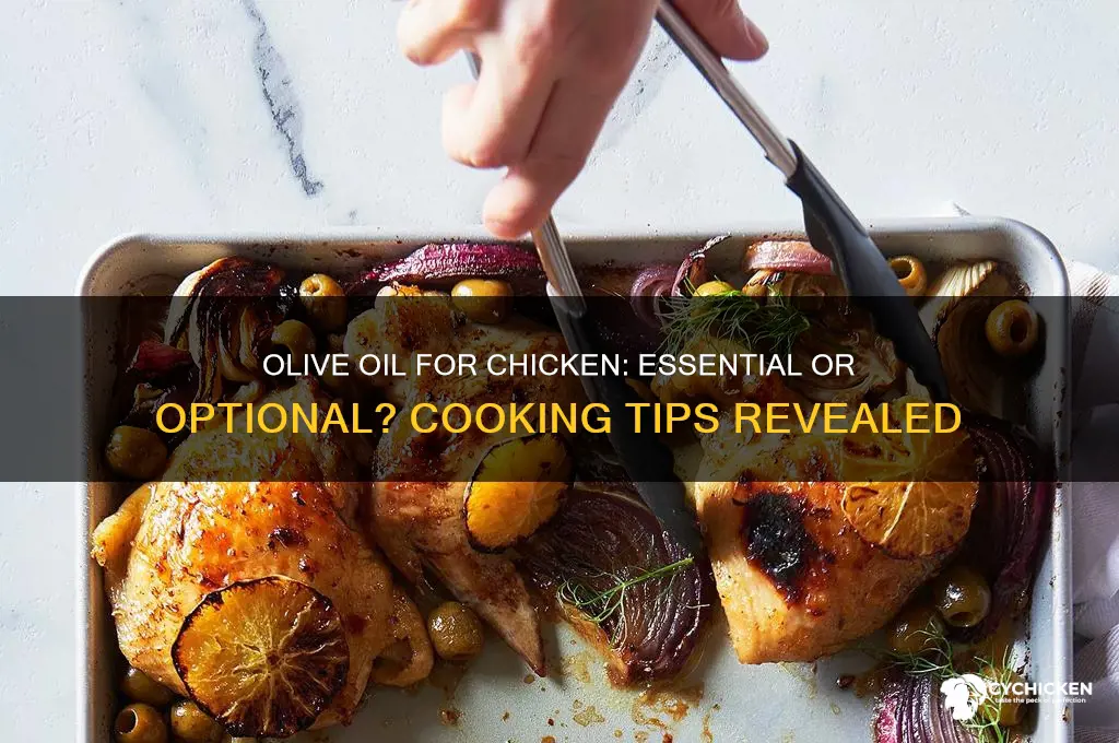 does chicken need to have olive oil