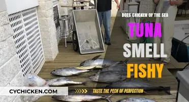 Does Chicken of the Sea Tuna Smell Fishy? A Freshness Check