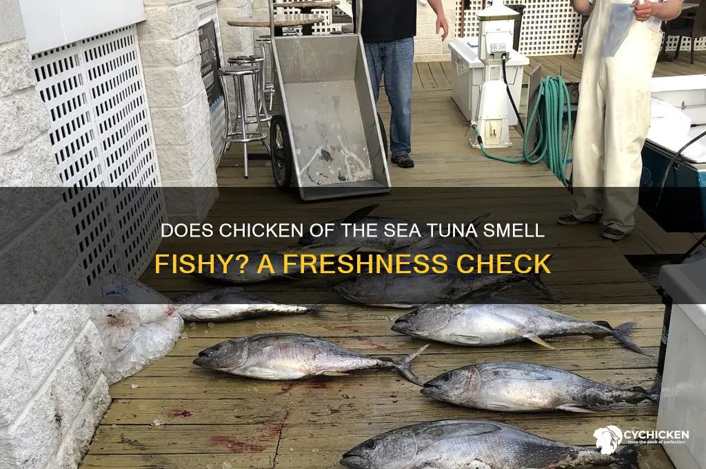 does chicken of the sea tuna smell fishy