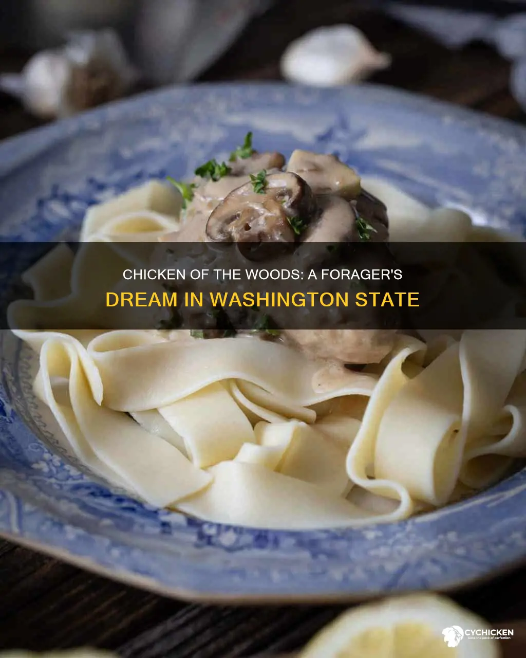 does chicken of the woods grow in washington state