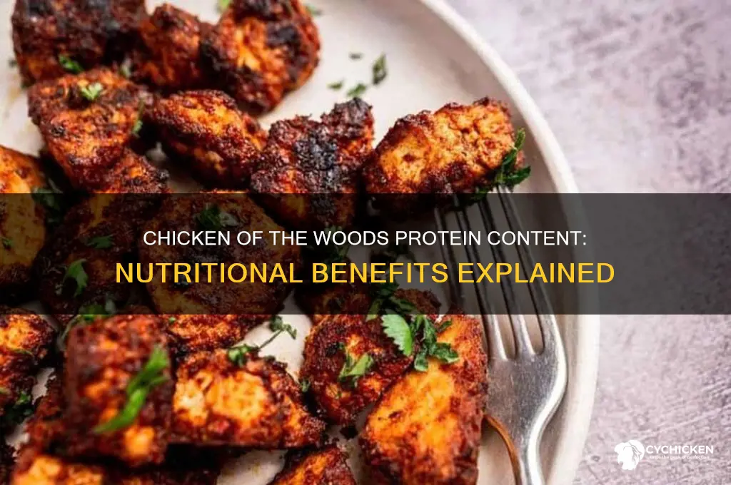 does chicken of the woods have protein