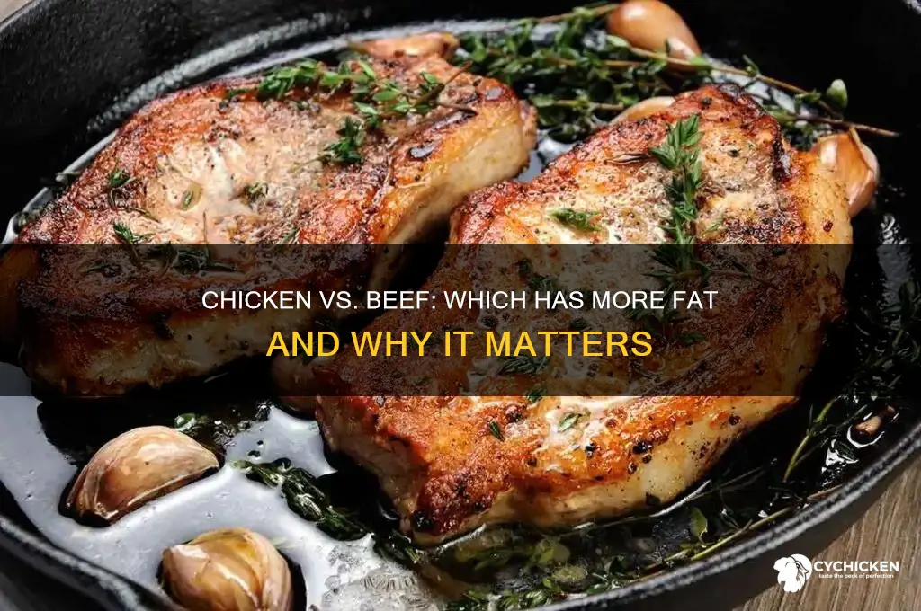 does chicken or beef have more fat
