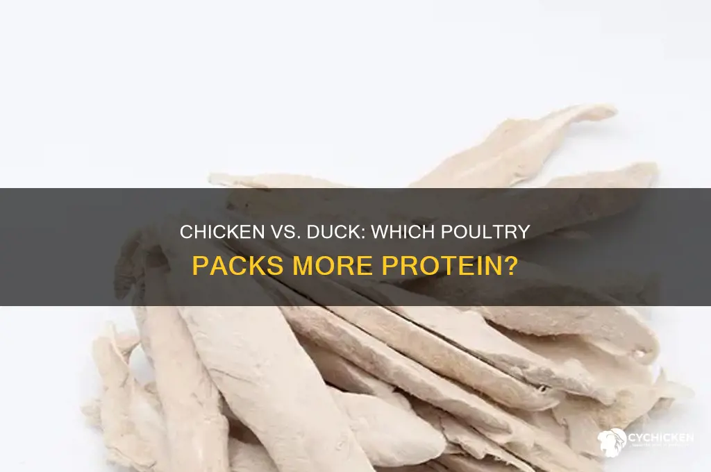 does chicken or duck have more protein