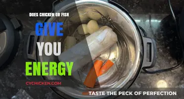 Chicken vs. Fish: Which Protein Boosts Your Energy Levels More?