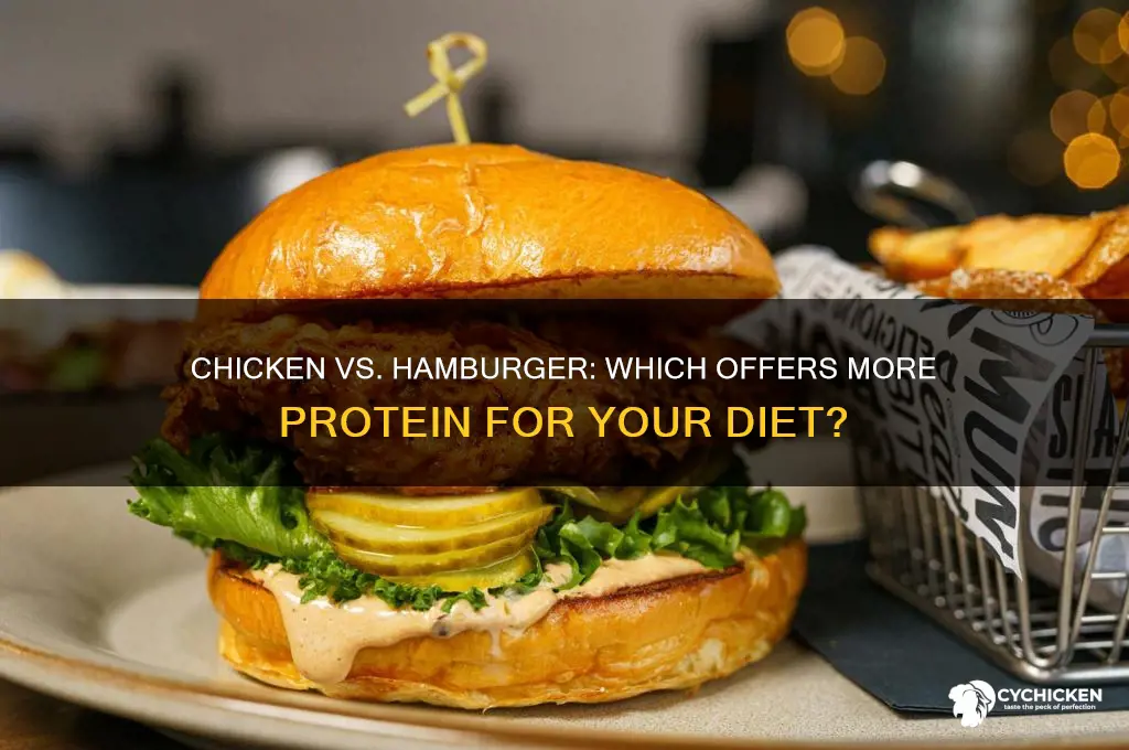 does chicken or hamburger have more protein