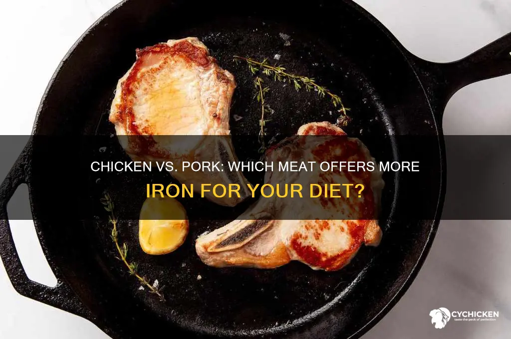 does chicken or pork have more iron