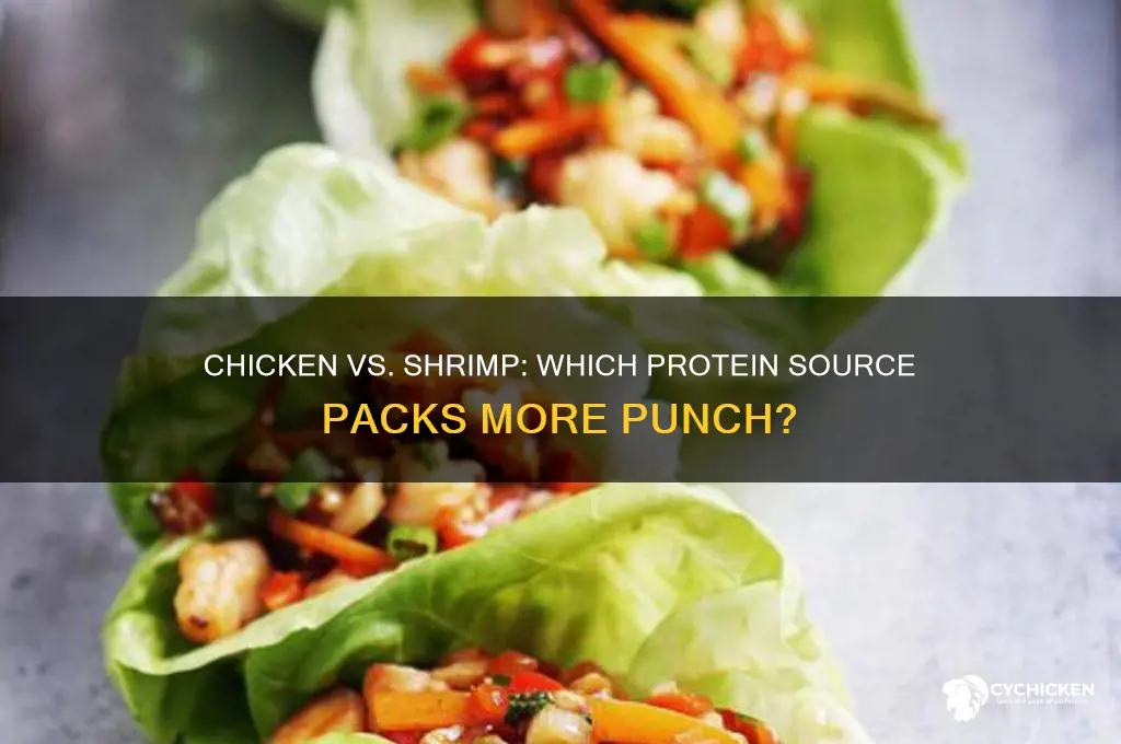 does chicken or shrimp have more protein