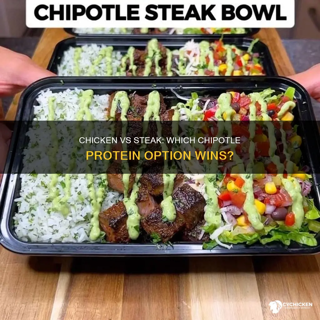 does chicken or steak have more protein at chipotle