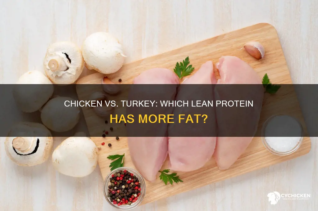 does chicken or turkey have more fat