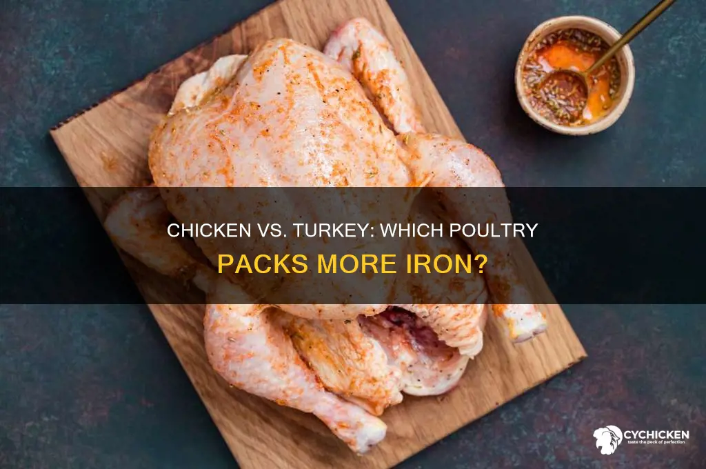 does chicken or turkey have more iron